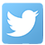 twitter-icon